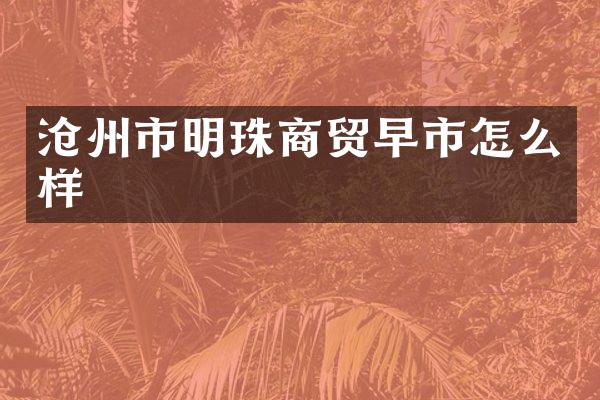 沧州市明珠商贸早市怎么样