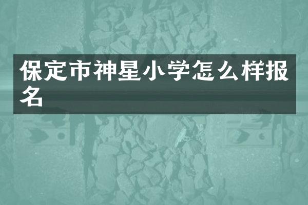 保定市神星小学怎么样报名