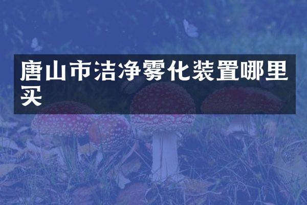 唐山市洁净雾化装置哪里买