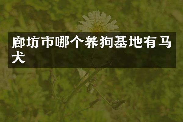 廊坊市哪个养狗基地有马犬