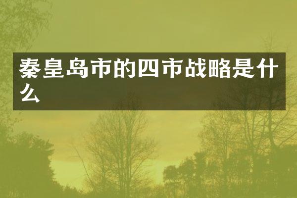 秦皇岛市的四市战略是什么