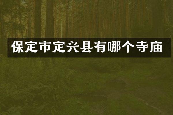 保定市定兴县有哪个寺庙