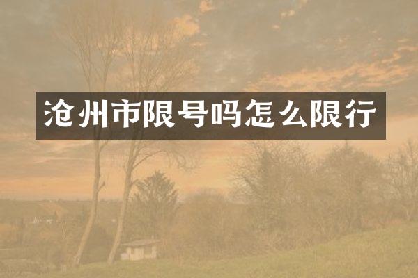 沧州市限号吗怎么限行