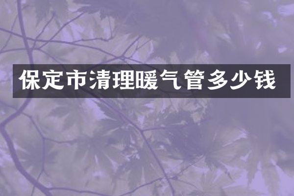 保定市清理暖气管多少钱