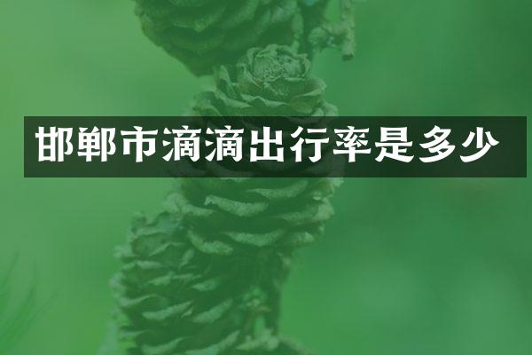 邯郸市滴滴出行率是多少