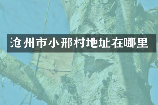 沧州市小邢村地址在哪里
