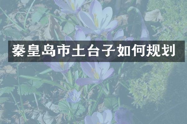 秦皇岛市土台子如何规划
