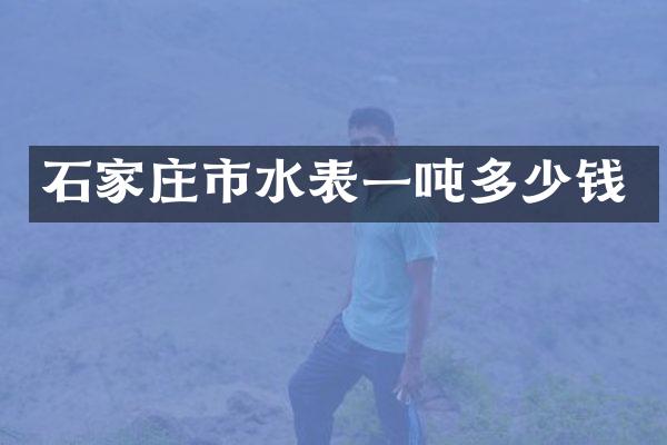 石家庄市水表一吨多少钱