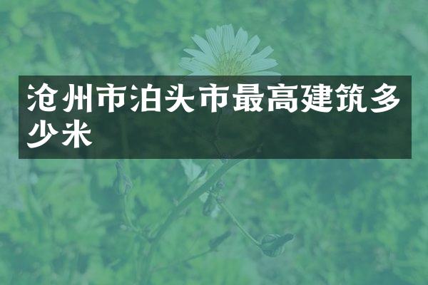 沧州市泊头市最高建筑多少米