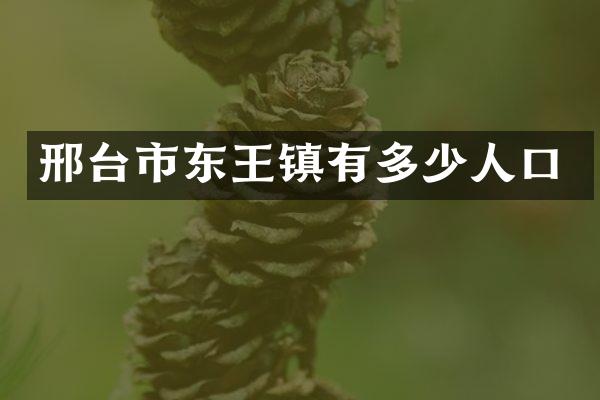 邢台市东王镇有多少人口