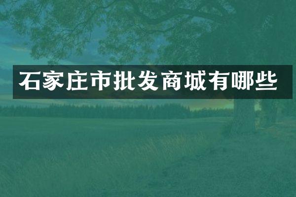 石家庄市批发商城有哪些