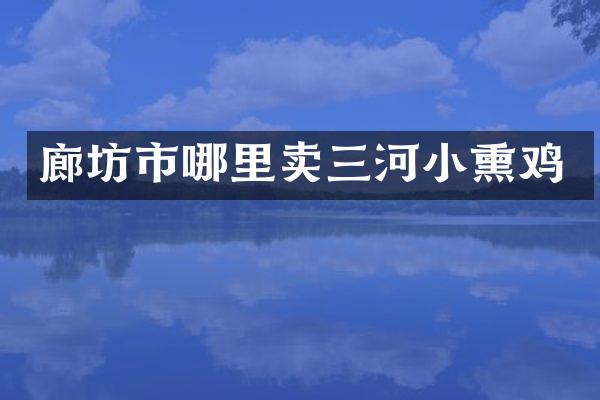 廊坊市哪里卖三河小熏鸡