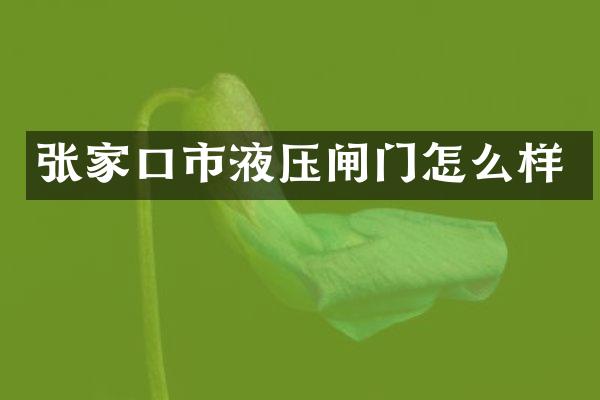 张家口市液压闸门怎么样