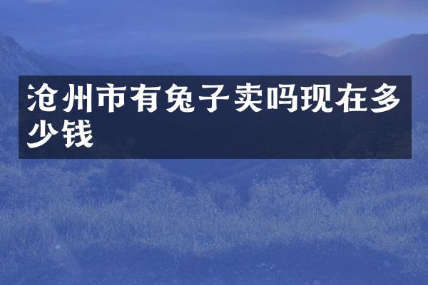 沧州市有兔子卖吗现在多少钱