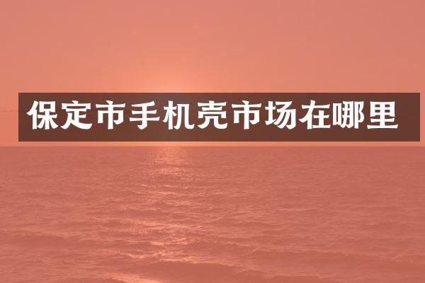 保定市手机壳市场在哪里