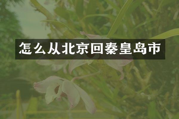 怎么从北京回秦皇岛市