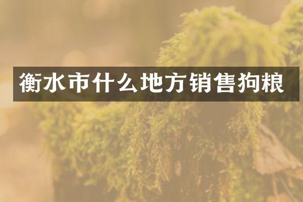 衡水市什么地方销售