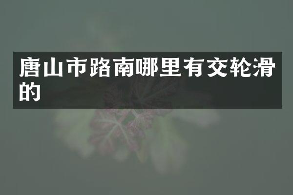 唐山市路南哪里有交轮滑的