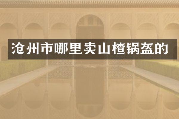 沧州市哪里卖山楂锅盔的
