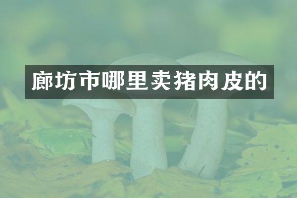 廊坊市哪里卖猪肉皮的