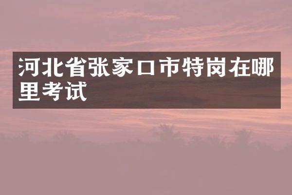 河北省张家口市特岗在哪里考试