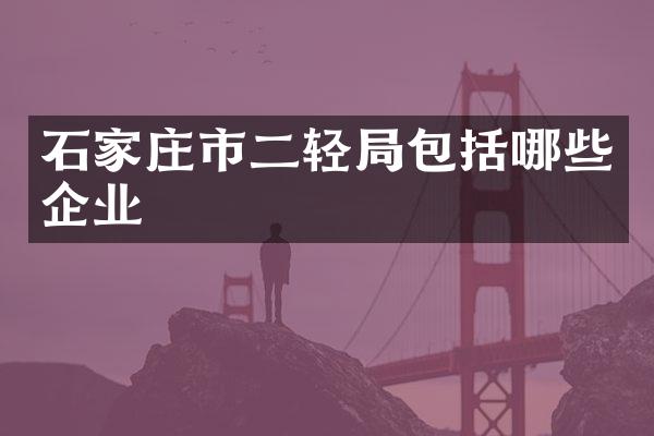 石家庄市二轻局包括哪些企业
