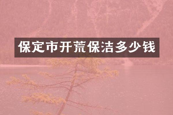 保定市开荒保洁多少钱