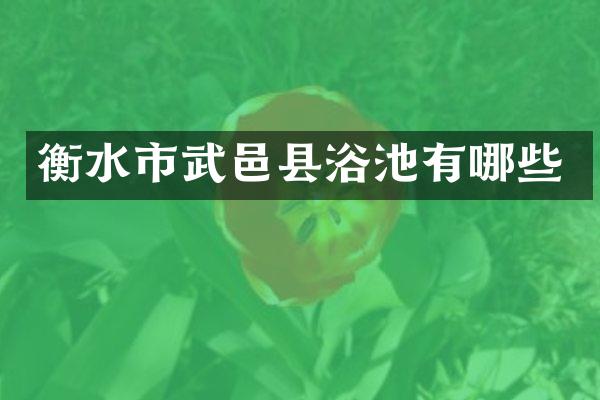 衡水市武邑县浴池有哪些