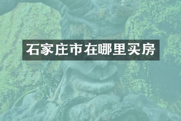 石家庄市在哪里买房