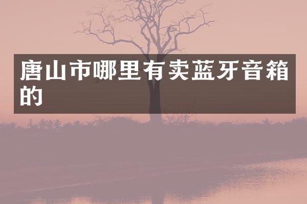 唐山市哪里有卖蓝牙音箱的