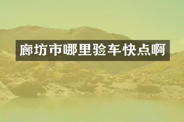 廊坊市哪里验车快点啊