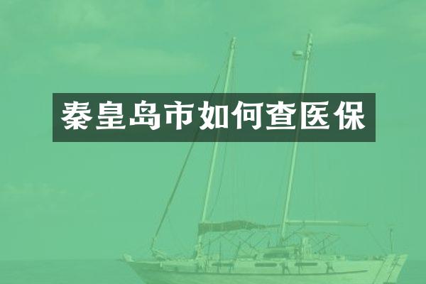 秦皇岛市如何查医保