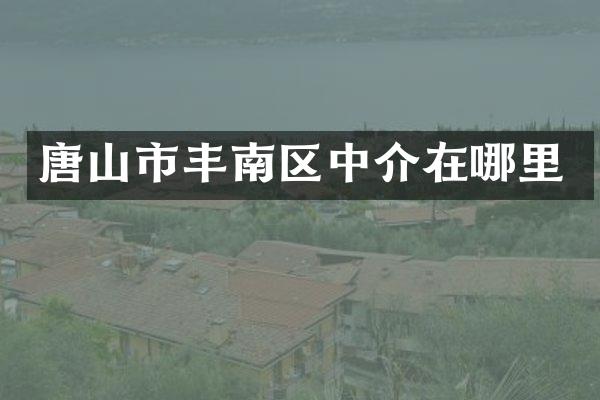 唐山市丰南区中介在哪里