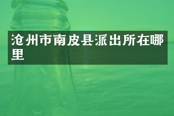 沧州市南皮县派出所在哪里