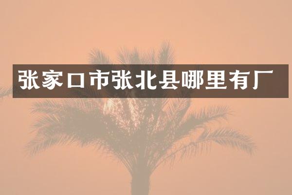 张家口市张北县哪里有厂
