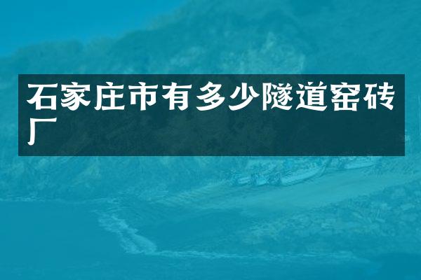 石家庄市有多少隧道窑砖厂