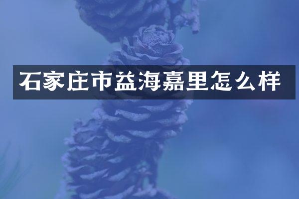 石家庄市益海嘉里怎么样