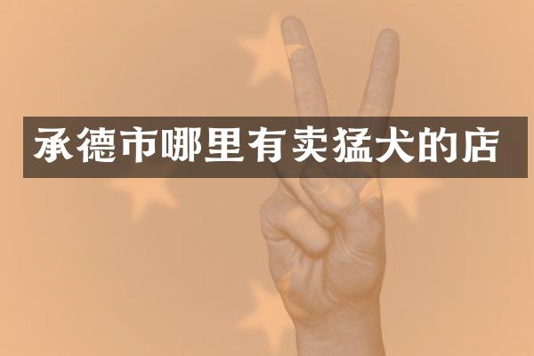承德市哪里有卖猛犬的店