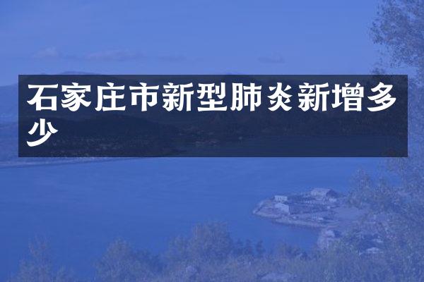 石家庄市新型肺炎新增多少