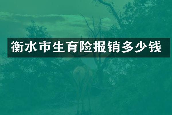 衡水市生育险报销多少钱