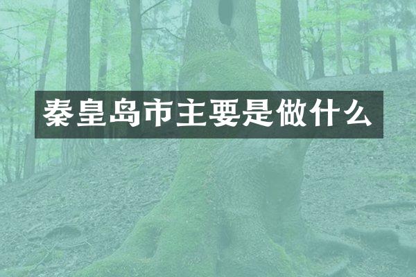 秦皇岛市主要是做什么