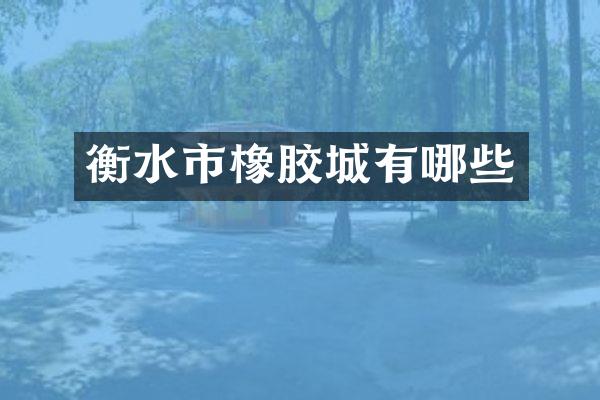 衡水市橡胶城有哪些