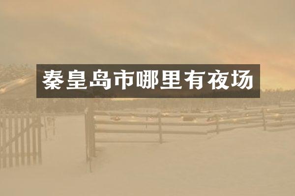 秦皇岛市哪里有夜场