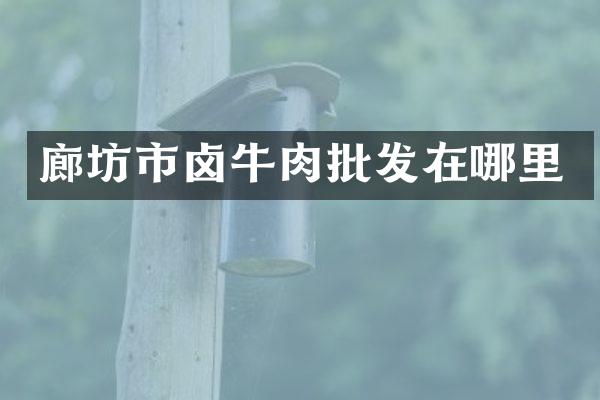 廊坊市卤牛肉批发在哪里