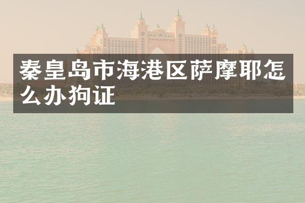 秦皇岛市海港区萨摩耶怎么办狗证