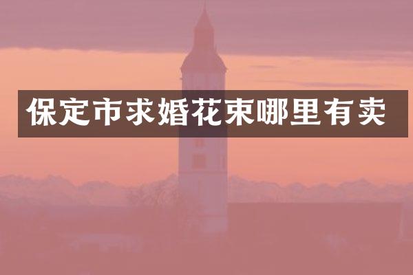 保定市求婚花束哪里有卖