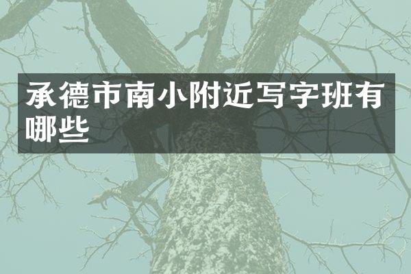 承德市南小附近写字班有哪些