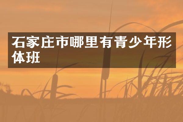 石家庄市哪里有青少年形体班