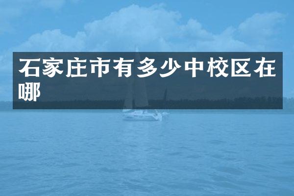 石家庄市有多少中校区在哪