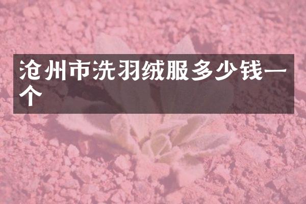 沧州市洗羽绒服多少钱一个